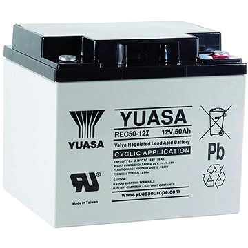 Yuasa REC50-12I, 50Ah, 12V