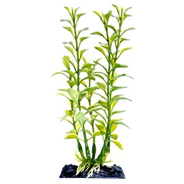 Penn Plax Blooming Ludwigia Green 18 cm