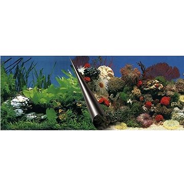 Ebi Photo Decor Stone Coral 80 × 40 cm