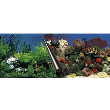 Ebi Photo Decor Stone Coral 120 × 50 cm