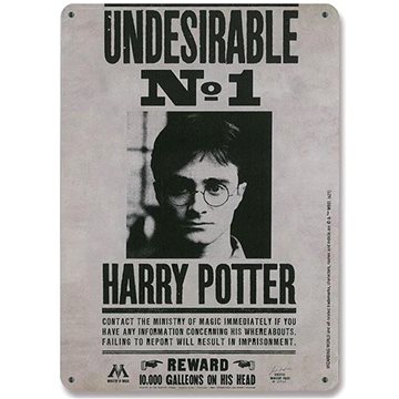 Harry Potter: Undesirable No 15 × 21 cm