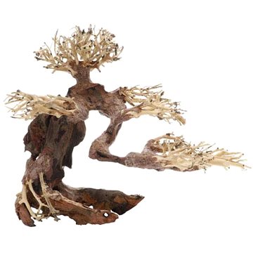 Dupla Bonsai M prírodná drevená dekorácia 30 × 15 × 23 cm