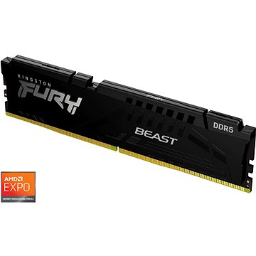 E-shop Kingston FURY 16GB DDR5 6000MHz CL36 Beast Black EXPO