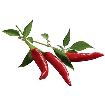 E-shop Click And Grow Chili Pepper
