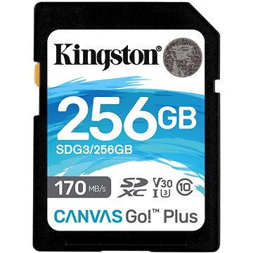 E-shop Kingston Canvas Go Plus SDXC 256 GB