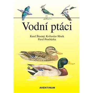 porno nahý com
