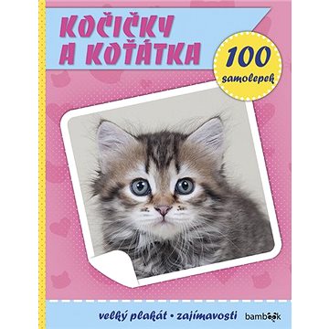 Kočičky a koťátka: Plakát a 100 samolepek