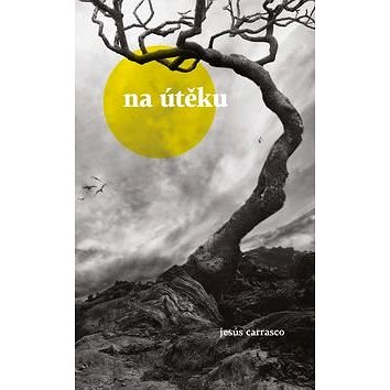 Na útěku (978-80-7470-097-2)