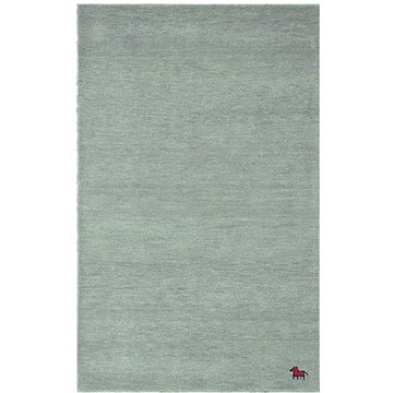 Asra Ručně všívaný kusový koberec Asra wool light grey