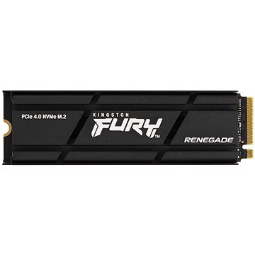 Kingston FURY Renegade NVMe 500GB Heatsink