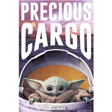 Star wars - Hvězdné války Tv Seriál The Mandalorian - Precious Cargo - plakát