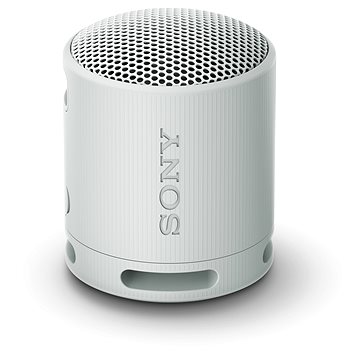 Sony SRS-XB100 grau
