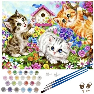 APT Kreativní malování podle čísel 40 × 50 cm Kočky