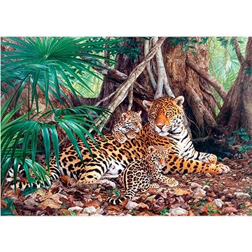 Castorland Puzzle Jaguáři v džungli 3000 dílků