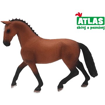 Atlas Kůň Hanoverský