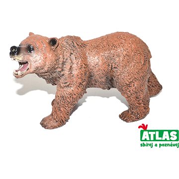 Atlas Medvěd hnědý