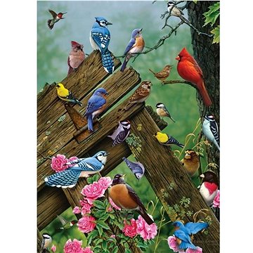 Cobble Hill Puzzle Lesní ptáci 1000 dílků