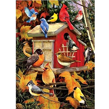 Cobble Hill Puzzle Ptačí budka na podzim 1000 dílků