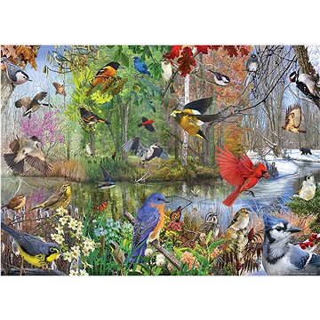 Cobble Hill Puzzle Sezónní ptactvo 1000 dílků