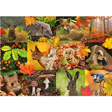 Jumbo Puzzle Zvířata na podzim 1000 dílků
