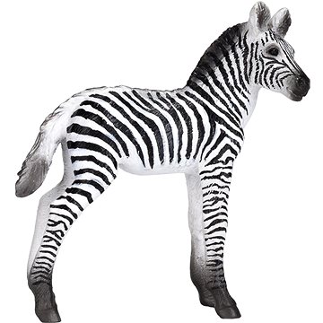 Mojo - Zebra mládě