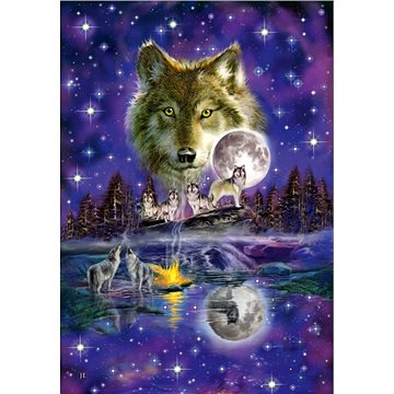 Schmidt Puzzle Vlk v měsíčním svitu 1000 dílků