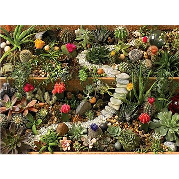 Cobble Hill Puzzle Zahrada sukulentů 1000 dílků