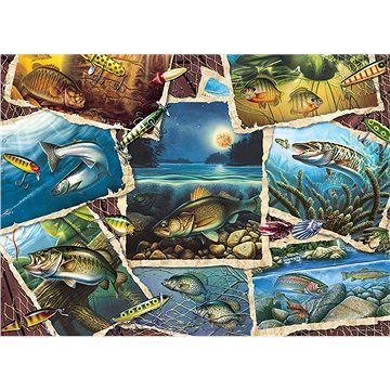 Cobble Hill Puzzle Obrázky ryb 1000 dílků
