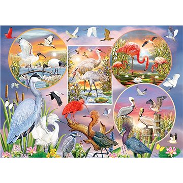 Cobble Hill Puzzle Okouzlující vodní ptáci 1000 dílků