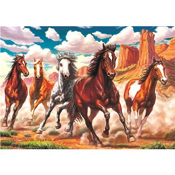 Art Puzzle Divoké koně v údolí 1000 dílků