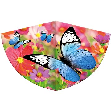 Günther drak Motýli 75 × 48 cm