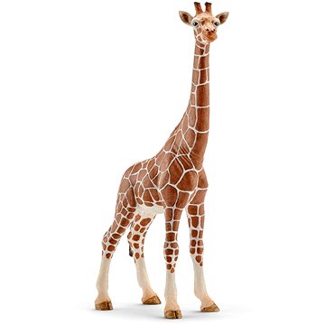 E-shop Schleich 14750 Weibliche Giraffen