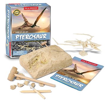Pterosaur Dinosaur Toy Fosilní výkopová sada