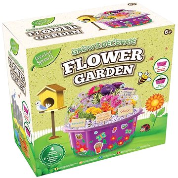 Grow&decorate vypěstuj si květiny, 4 druhy sazenic, s doplňky, v PVC květináči, v krabičce