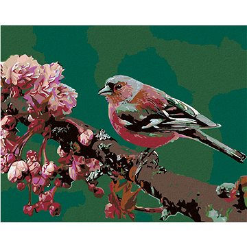 Malování podle čísel - Kvetoucí sakura a růžový ptáček