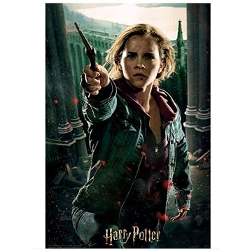 PRIME 3D Harry Potter: Hermione