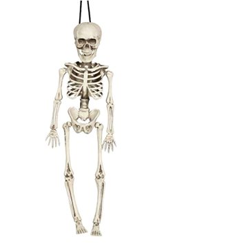 Skeleton kostlivec k zavěšení 40 cm