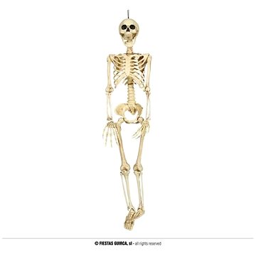Skeleton - kostra - kostlivec k zavěšení 90 cm- halloween