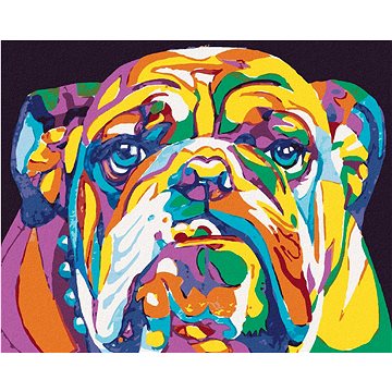 Barevný bulldog, 80×100 cm, vypnuté plátno na rám