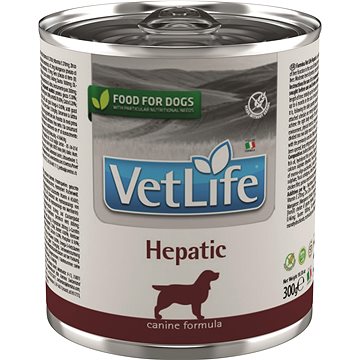 Vet Life Natural Dog konzerva Hepatic 300 g