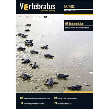 Tasmansky cert - Cochces.cz