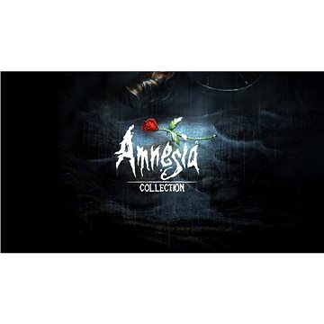 E-shop Amnesia Collection - PC DIGITAL