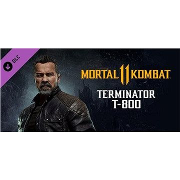 E-shop Mortal Kombat 11 Terminator T-800 (PC) Key für Steam