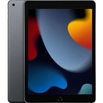 E-shop iPad 10.2 64 GB WiFi Space Grau 2021