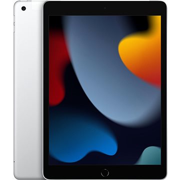 E-shop iPad 10.2 64 GB WiFi Cellular Silber 2021