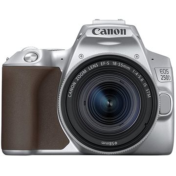 Canon EOS 250D stříbrný + EF-S 18-55 mm f/4-5.6 IS STM