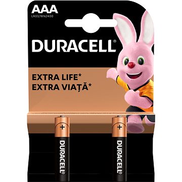 E-shop Duracell Basic Alkaline Batterie AAA - 2 Stück