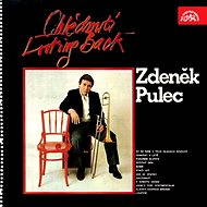 Zdeněk Nedvěd - Fontána Zdeněk Nedvěd - Fontána